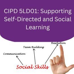 CIPD 5LD01 assignment Example