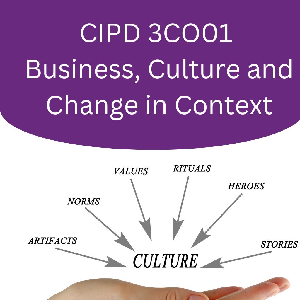 cipd 3co01 assignment