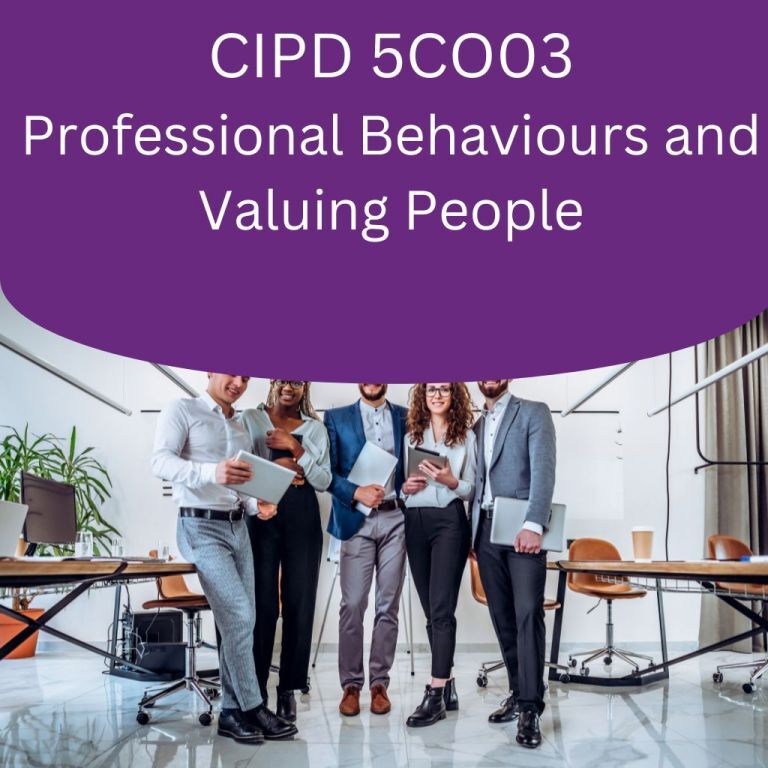 cipd level 5 assignment examples 5co03