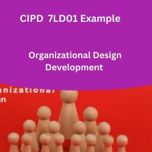 Organizational Design Development (1)
